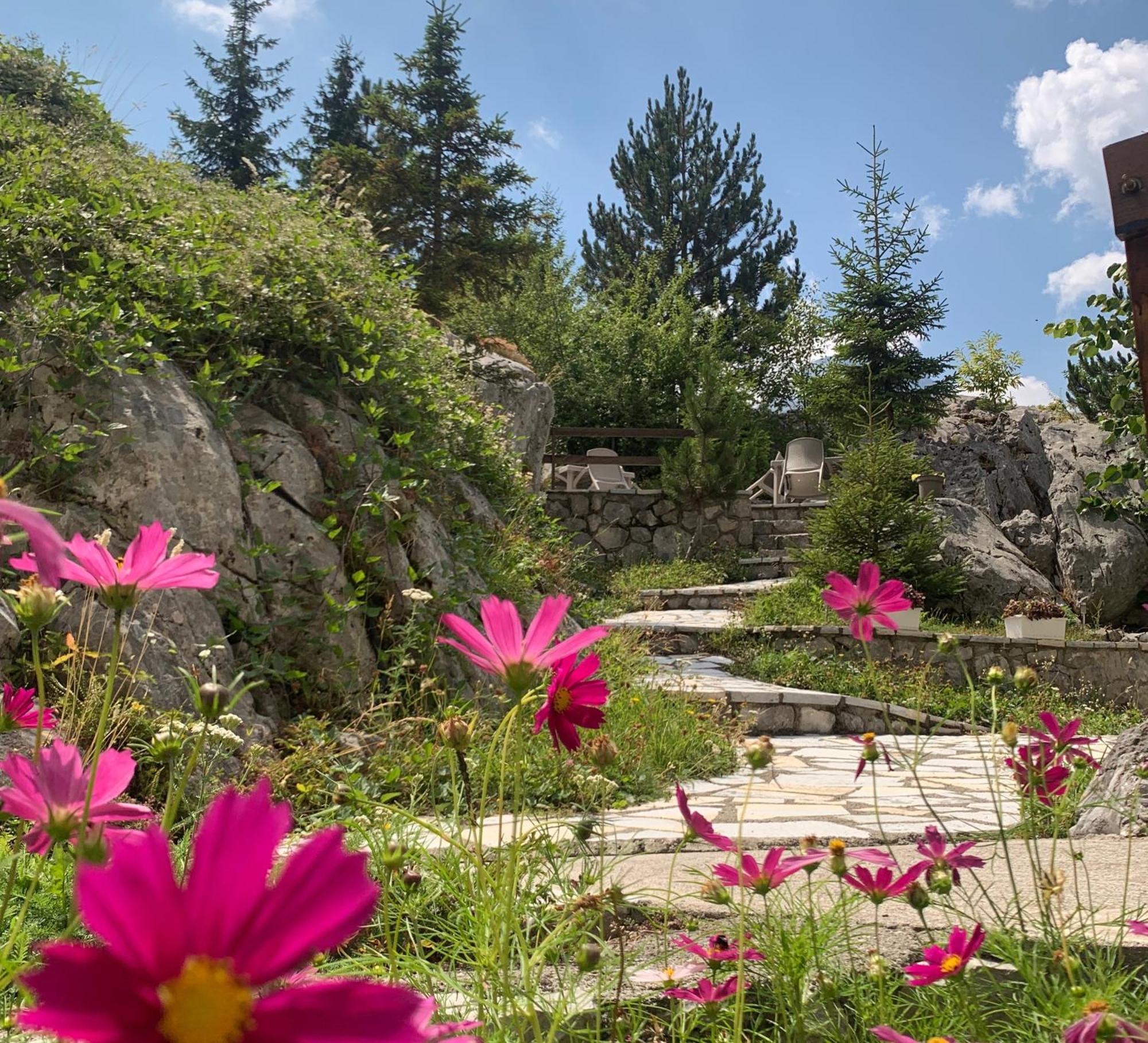 Bujtina Valbone Otel Dış mekan fotoğraf